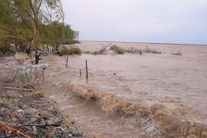 EU Supports Ca Mau in addressing coastal dyke erosion